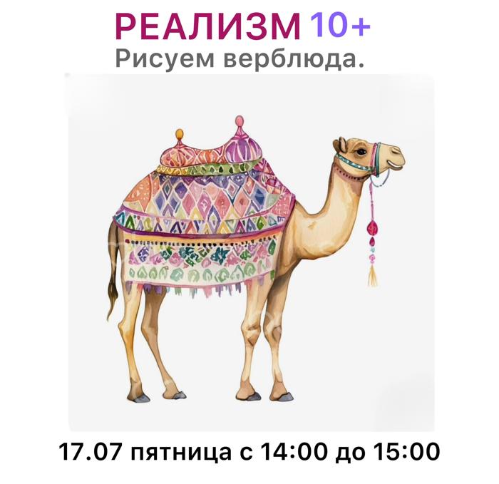 Верблюд