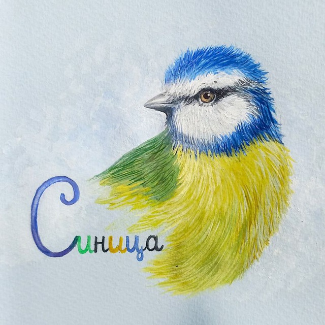 Логотип студии «Синица»